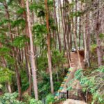 Nhà cấp 4 Homestay Đà Lạt có view đẹp
