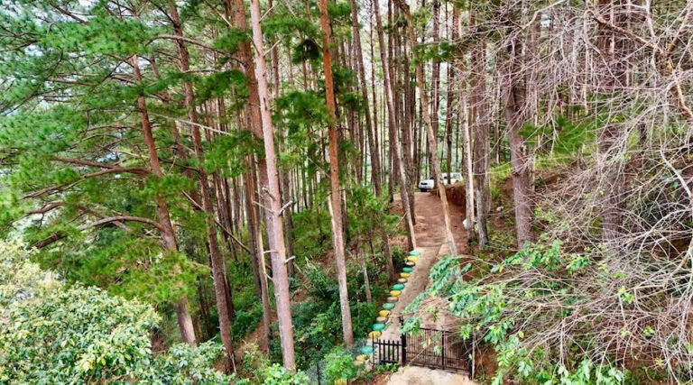Nhà cấp 4 Homestay Đà Lạt có view đẹp