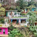 Homestay Đà Lạt view rừng thông giá rẻ